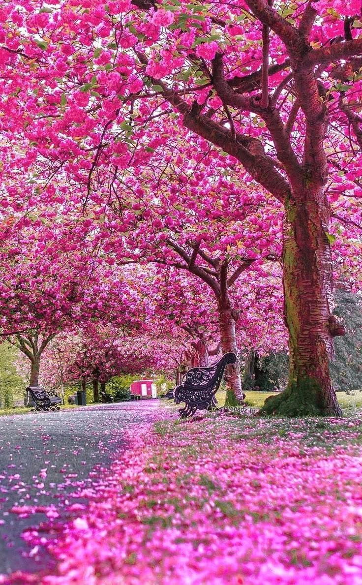 Luminous Peak Matrix workshop space where corporate flower arrangements are designed and prepared for business delivery